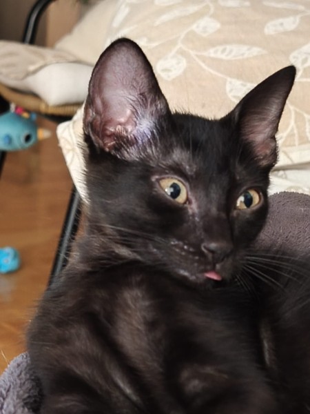 SALEM