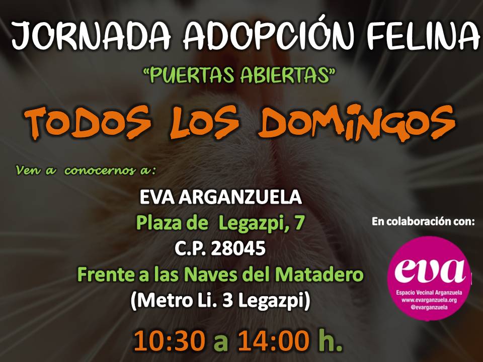 Jornadas de adopción en Madrid